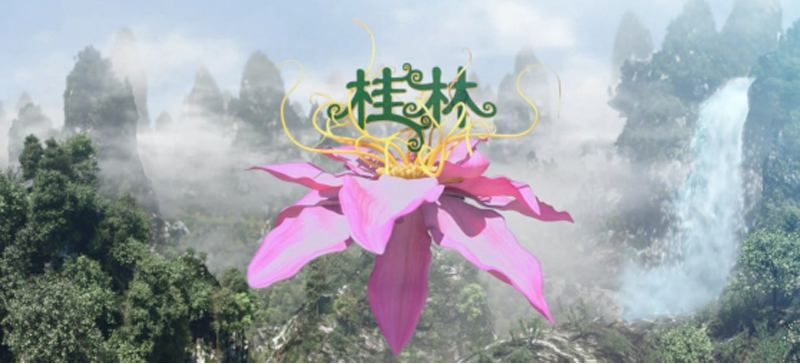 桂林影片內(nèi)容封面 桂林影片內(nèi)容封面